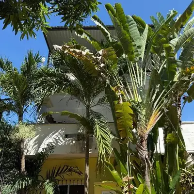 Punta Sol