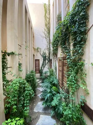 Jardín al aire libre en Condominios Punta Morelos