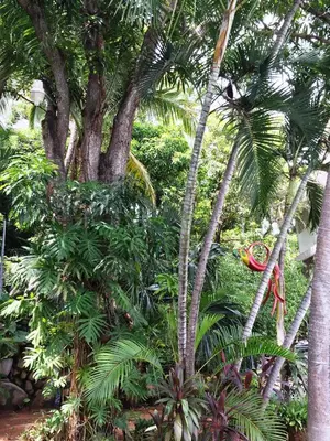 Jardín al aire libre en Villa Costa Chica Comodisimo piscina gigante jardines