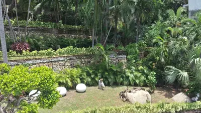 Jardín al aire libre en Villa Guitarron gran terraza vista espectacular 6 huespedes piscina gigante