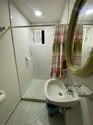 Un baño de Charming apartment near Los Dinamos and Six Flags