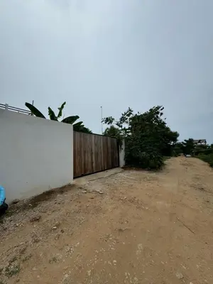Plano de Casa Patio