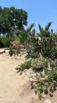 Jardín al aire libre en Luxury Dream Village in Palmarito Puerto Escondido