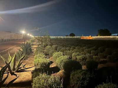 Plano de Glamping Rincón de Lavanda