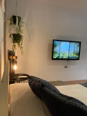 Una televisión o centro de entretenimiento en Apartment in Briones, Coatepec, Veracruz