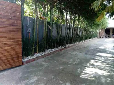 Plano de Acogedora suite con entrada independiente