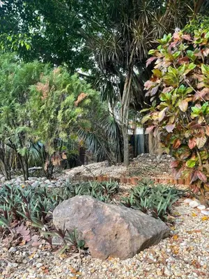 Jardín al aire libre en Acogedora suite con entrada independiente