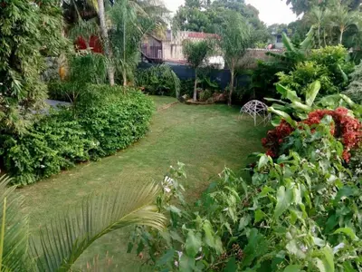 Jardín al aire libre en Acogedora suite con entrada independiente