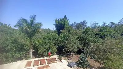 Jardín al aire libre en Finca MR