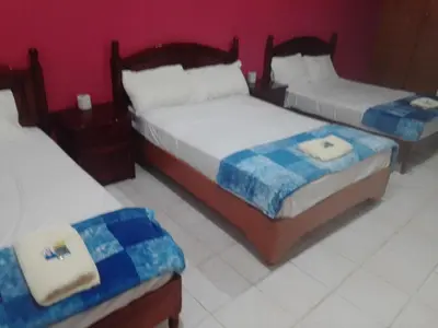 Cama o camas de una habitación en Hotel Posada Real