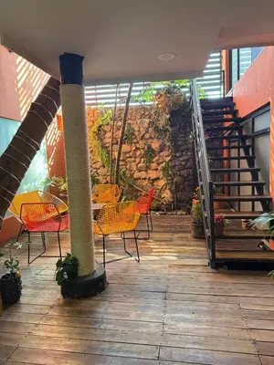 Plano de Casa Bocobá