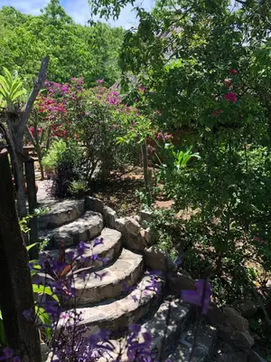 Jardín al aire libre en Flor de Arena
