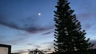 Plano de Casa con alberca en Morelos
