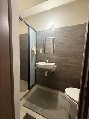 Un baño de Estancia pino suarez