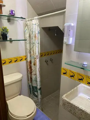 Un baño de Viveros de Coyoacan