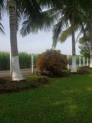 Jardín al aire libre en Villa Agustina en Villas Camino Real cerca de las dunas de Chachalacas