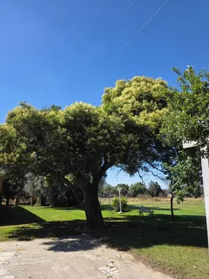 Plano de Acogedora casa de campo en Rancho la Cruz
