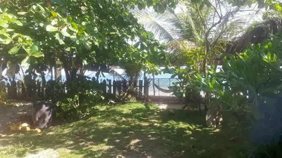 Paisaje cerca de este hostal o pensión