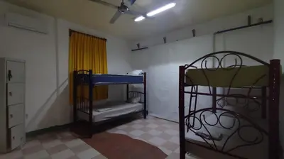 Cama o camas de una habitación en Jungle Palace hostel santaella