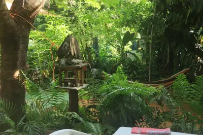 Jardín al aire libre en Jungle Palace hostel santaella