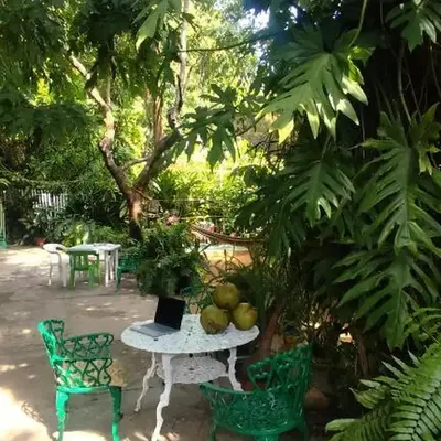 Jungle Palace hostel santaella