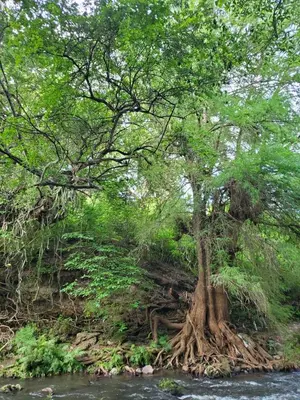 Paisaje cerca de este hotel cápsula