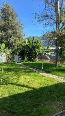 Jardín al aire libre en El rincón mazateco