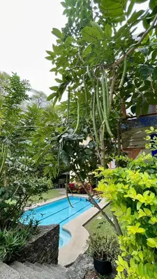 Piscina en o cerca de Hospedaje Los Pavo Reales