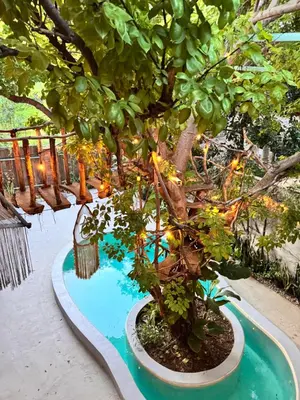 Jardín al aire libre en Nanabi