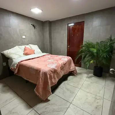 Casa Areka