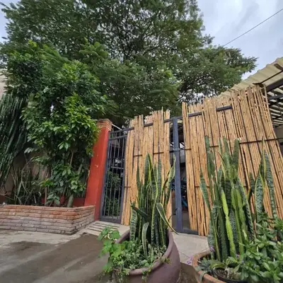 Casa del Árbol Hostel Xochimilco