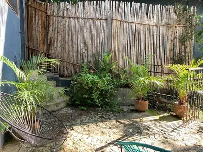 Jardín al aire libre en Luminoso exuberante y hermoso refugio