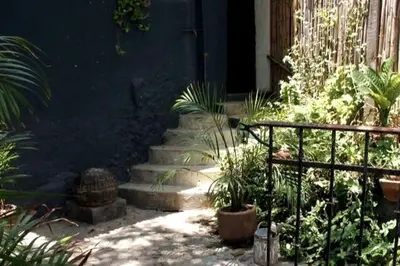 Jardín al aire libre en Luminoso exuberante y hermoso refugio