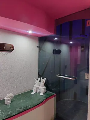 Un baño de Motel Éxtasis