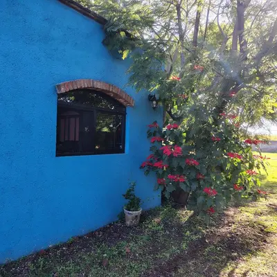 Plano de Casa Flora Cholula