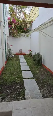 Jardín al aire libre en Hostal Kahlo - 1 Bed in men's dorm 1 cama en dormitorio compartido de hombres
