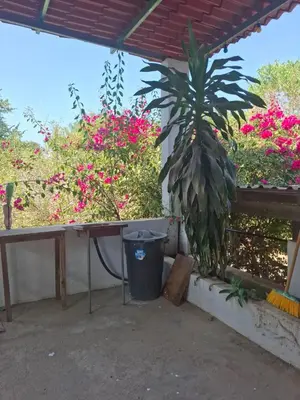 Jardín al aire libre en CASA BUGAMBILIa