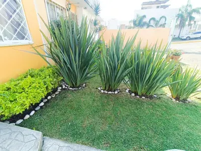 Jardín al aire libre en Casa en fraccionamiento en Ahuatepec con alberca, cancha y cerca de Tepoztlán
