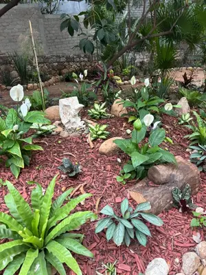 Jardín al aire libre en Casa Los Mangales
