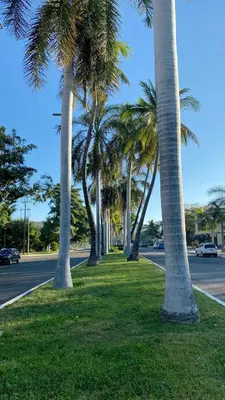 Jardín al aire libre en Huatulco Sun Stay