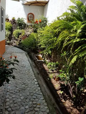 Jardín al aire libre en hotel quinta real las palmas malinalco