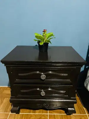 Plano de Departamento Flores
