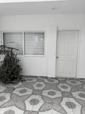 Plano de primavera's room
