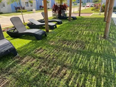 Jardín al aire libre en Casa Irlanda