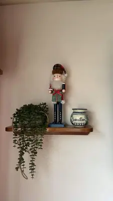 Plano de Casa Sosa