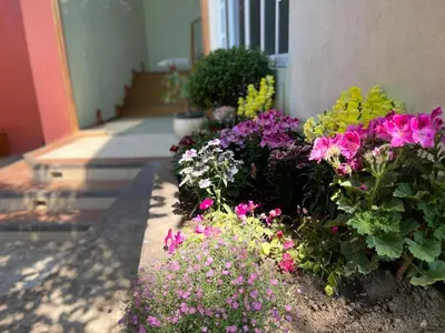 Jardín al aire libre en Casa Sosa