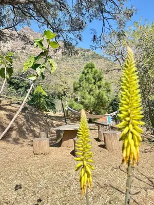 Paisaje cerca de esta casa o chalet