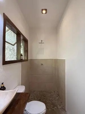 Un baño de La baxada