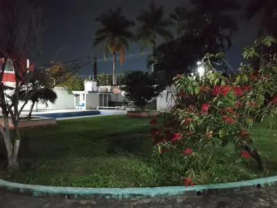 Jardín al aire libre en Alberca y jardín Palmeras