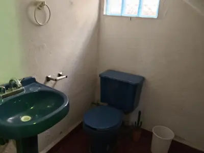 Un baño de Alberca y jardín Palmeras